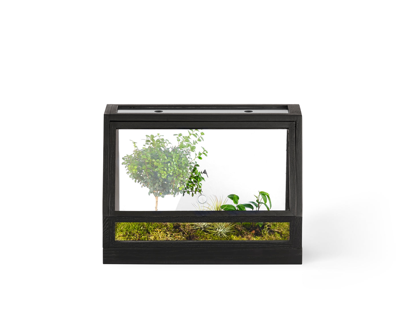 Design House Stockholm Greenhouse Mini tummanharmaa