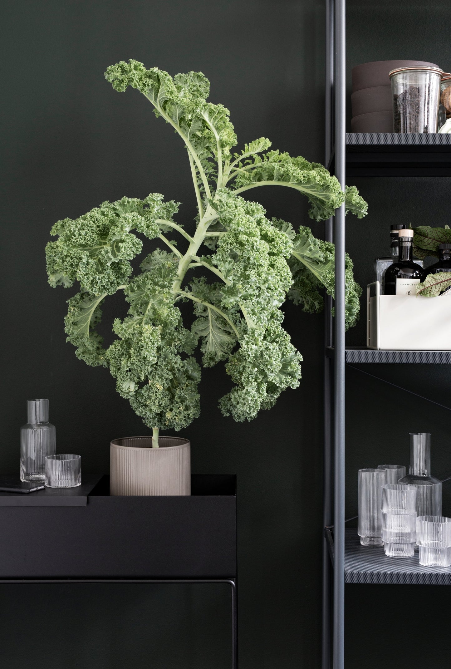 Ferm Living Plant box musta