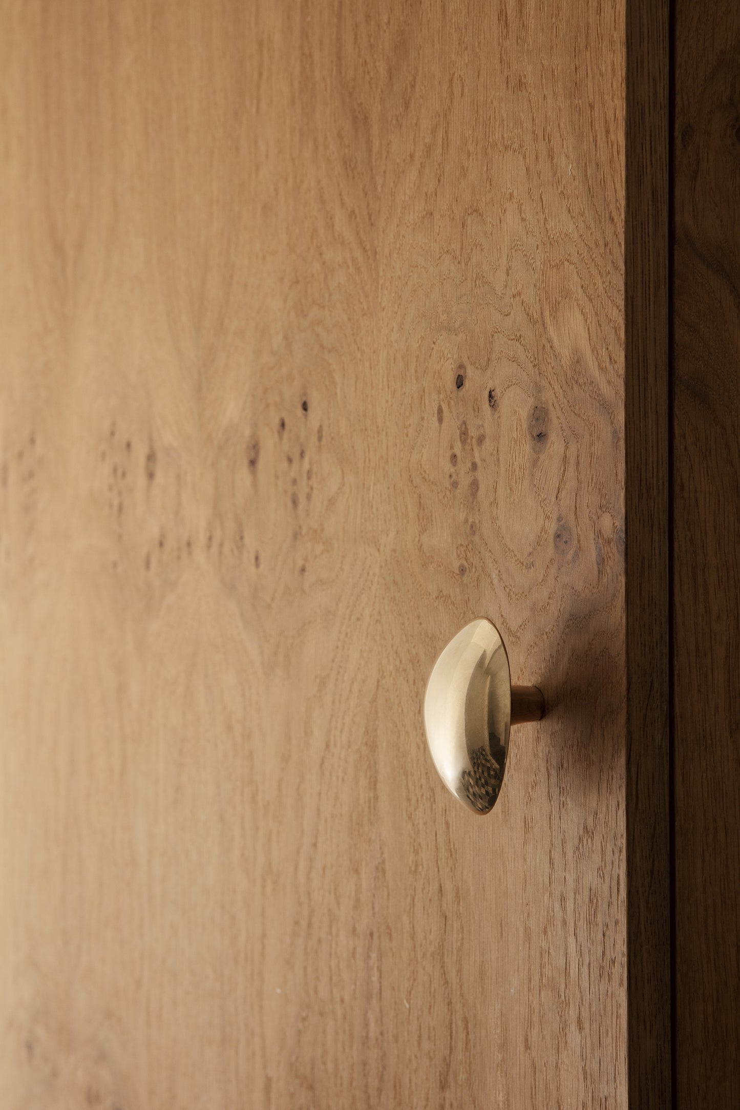 Ferm Living Lemon ripustin messinki