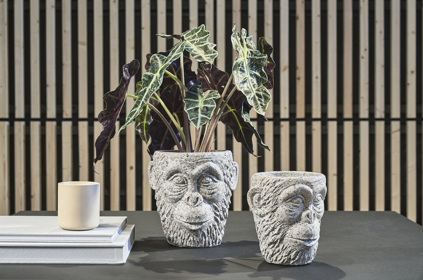 Villa Collection Gorilla ruukku Ø22 harmaa
