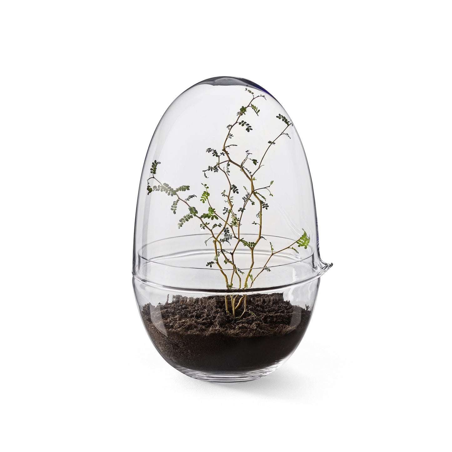 Design House Stockholm Grow pienoiskasvihuone L