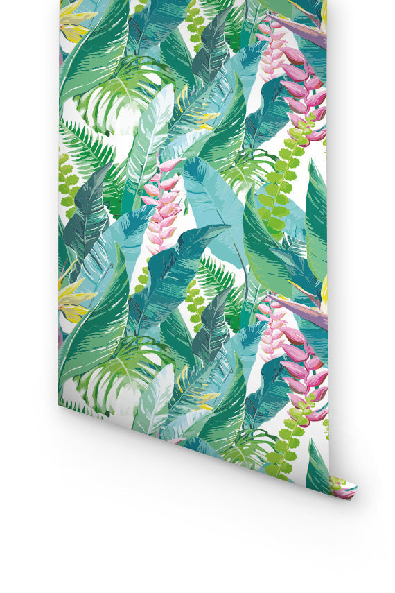 Calathea Leaves Living Room Wallpaper