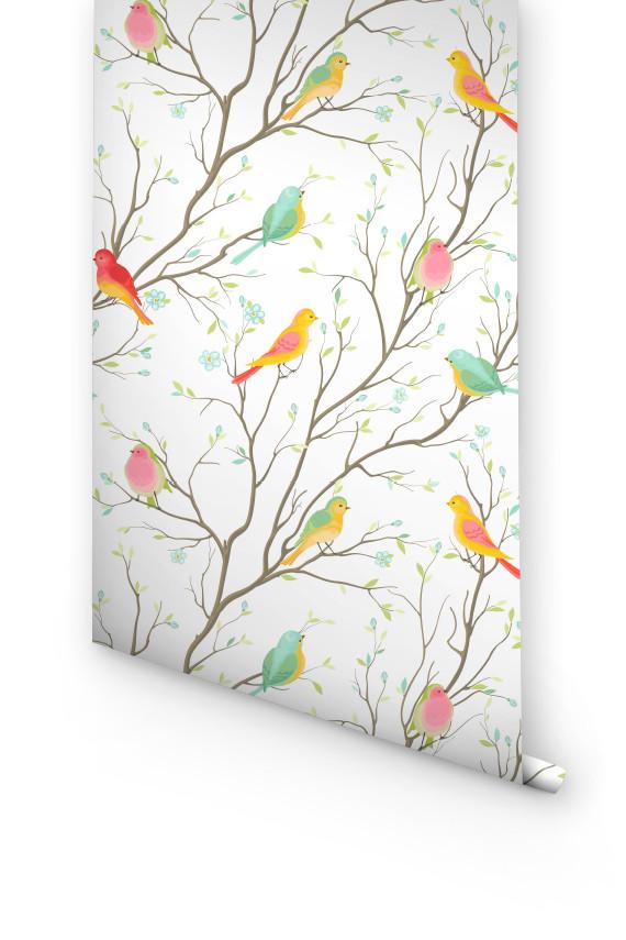 Colorful Birds Removable Wallpaper