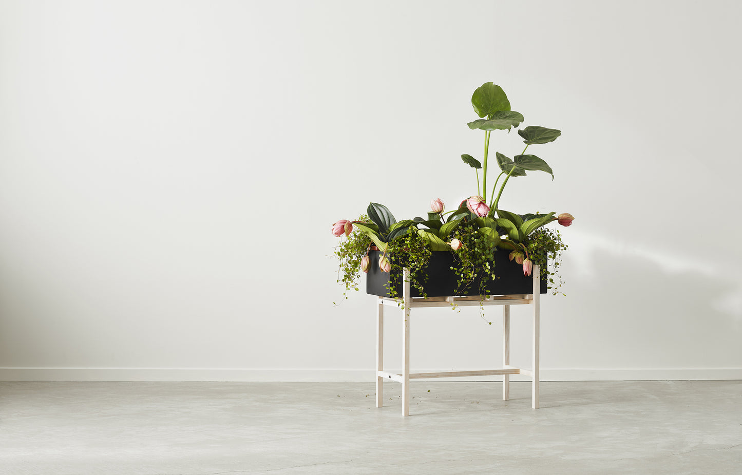 Design House Stockholm Botanic Stand musta/saarni
