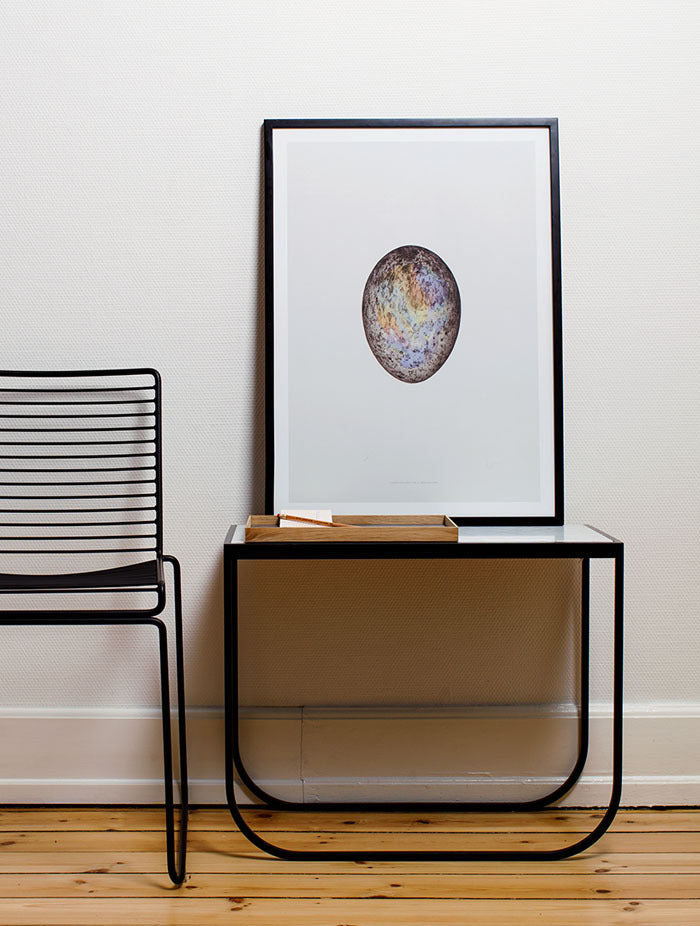 Translucent Egg / Spectrum Skull Paper Collective