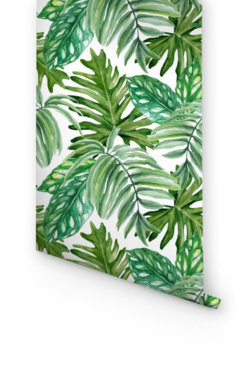 Monstera Leaves Removable Wallpaper