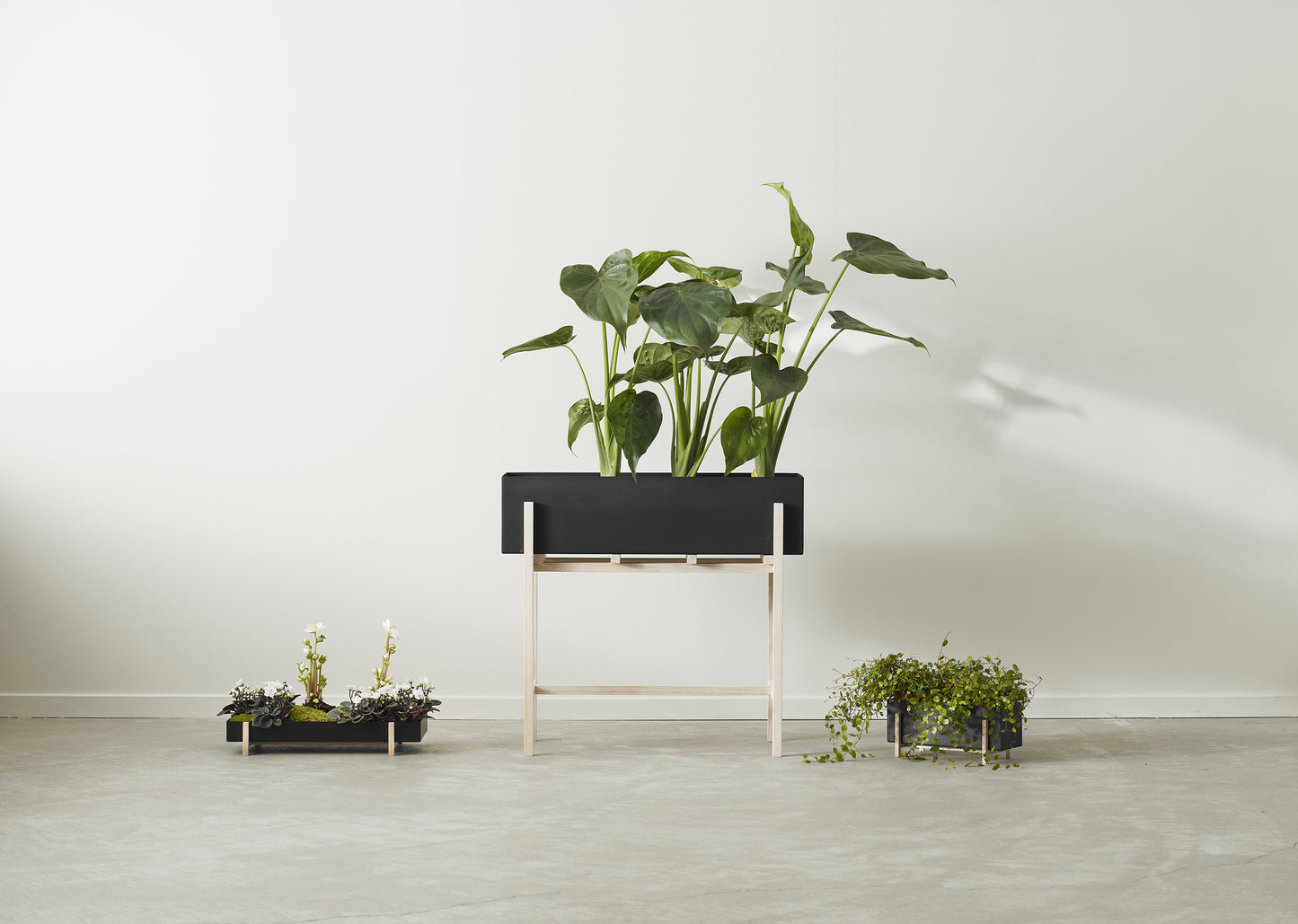 Design House Stockholm Botanic Stand musta/saarni