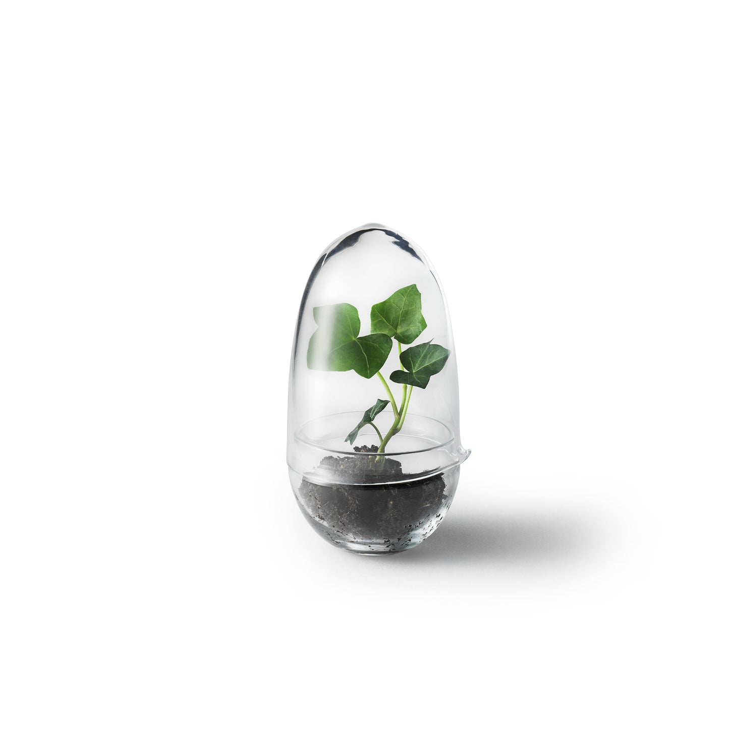 Design House Stockholm Grow pienoiskasvihuone S