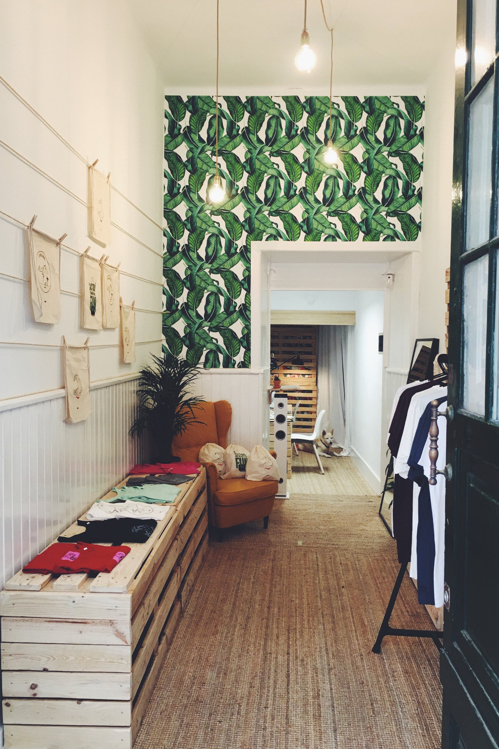 Large Banana Leaves Wallpaper For Kids Room