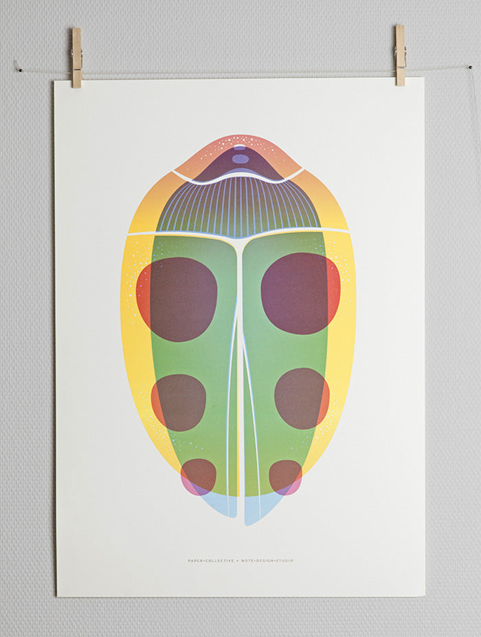 Paper Collective Beetle 01