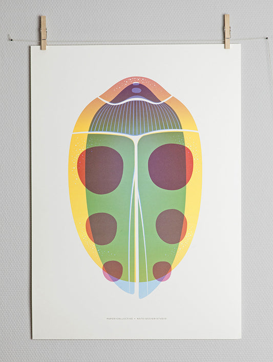 Paper Collective Beetle 01