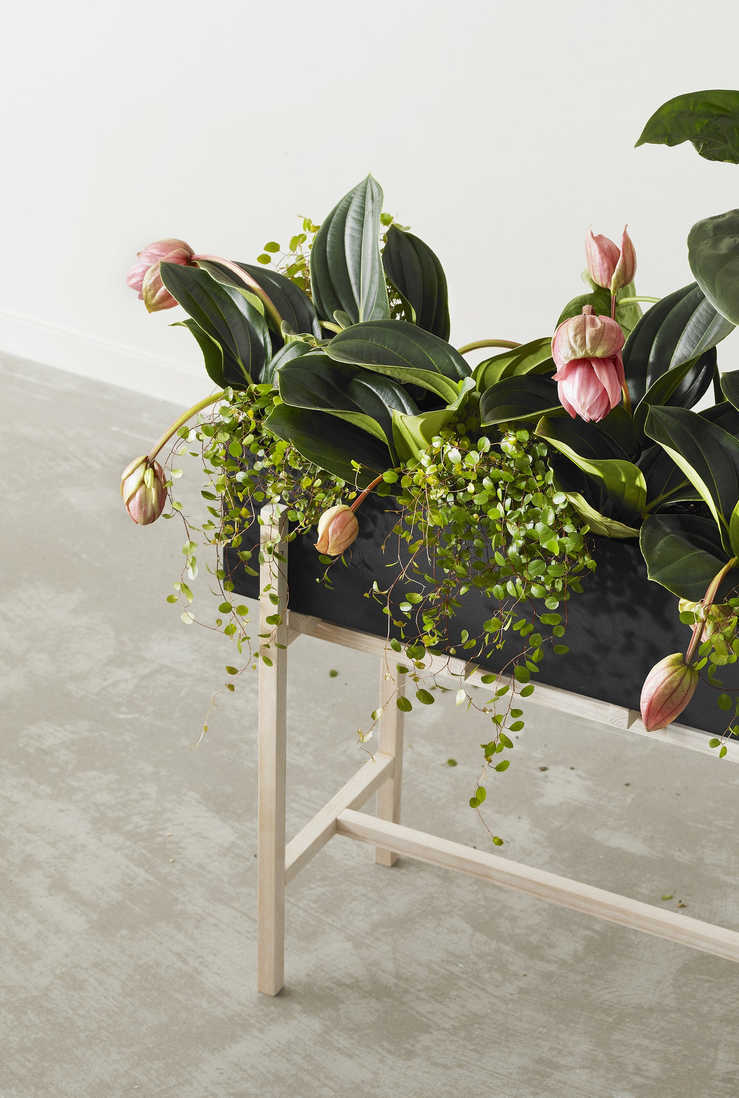Design House Stockholm Botanic Stand musta/saarni