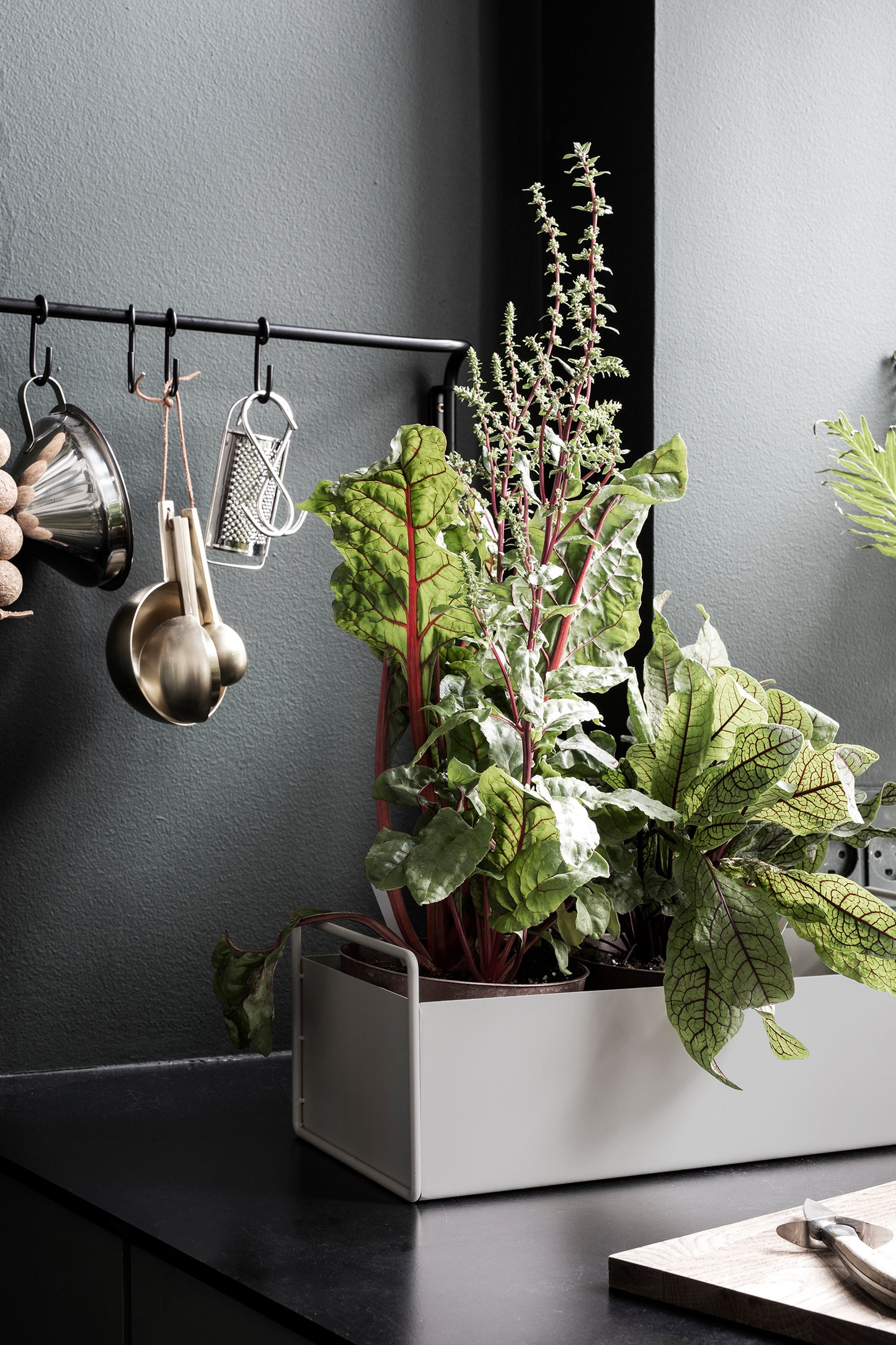 Ferm Living Plant box pieni vaaleanharmaa