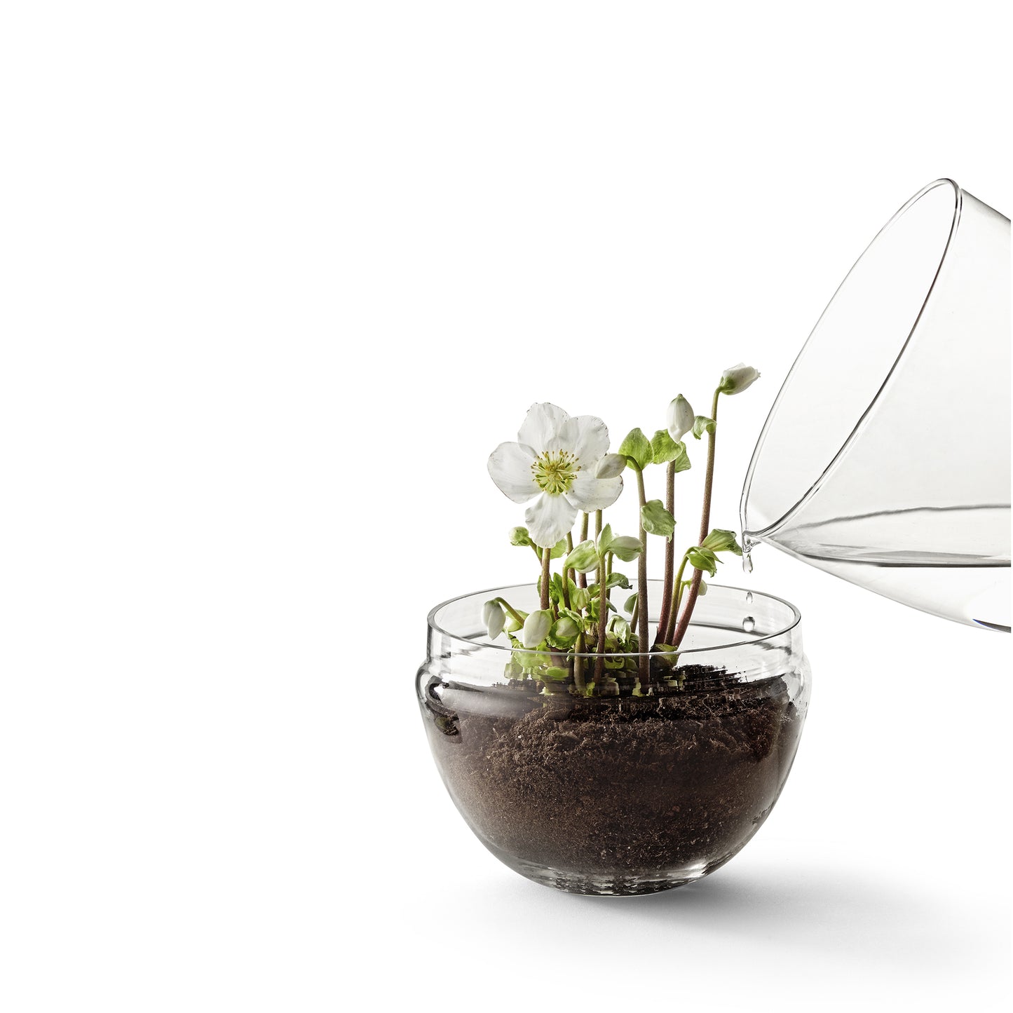Design House Stockholm Grow pienoiskasvihuone L