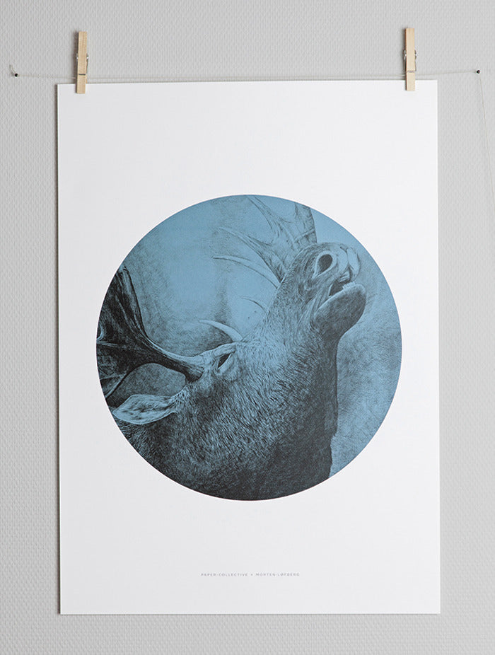 The Moose Paper Collective