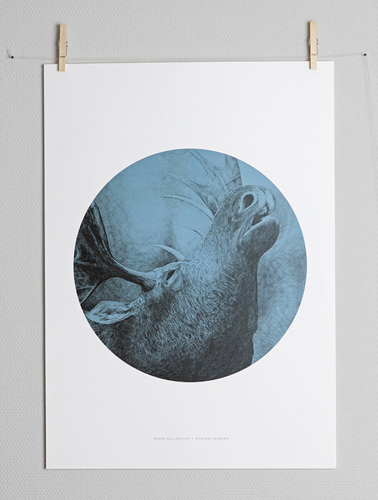 The Moose Paper Collective