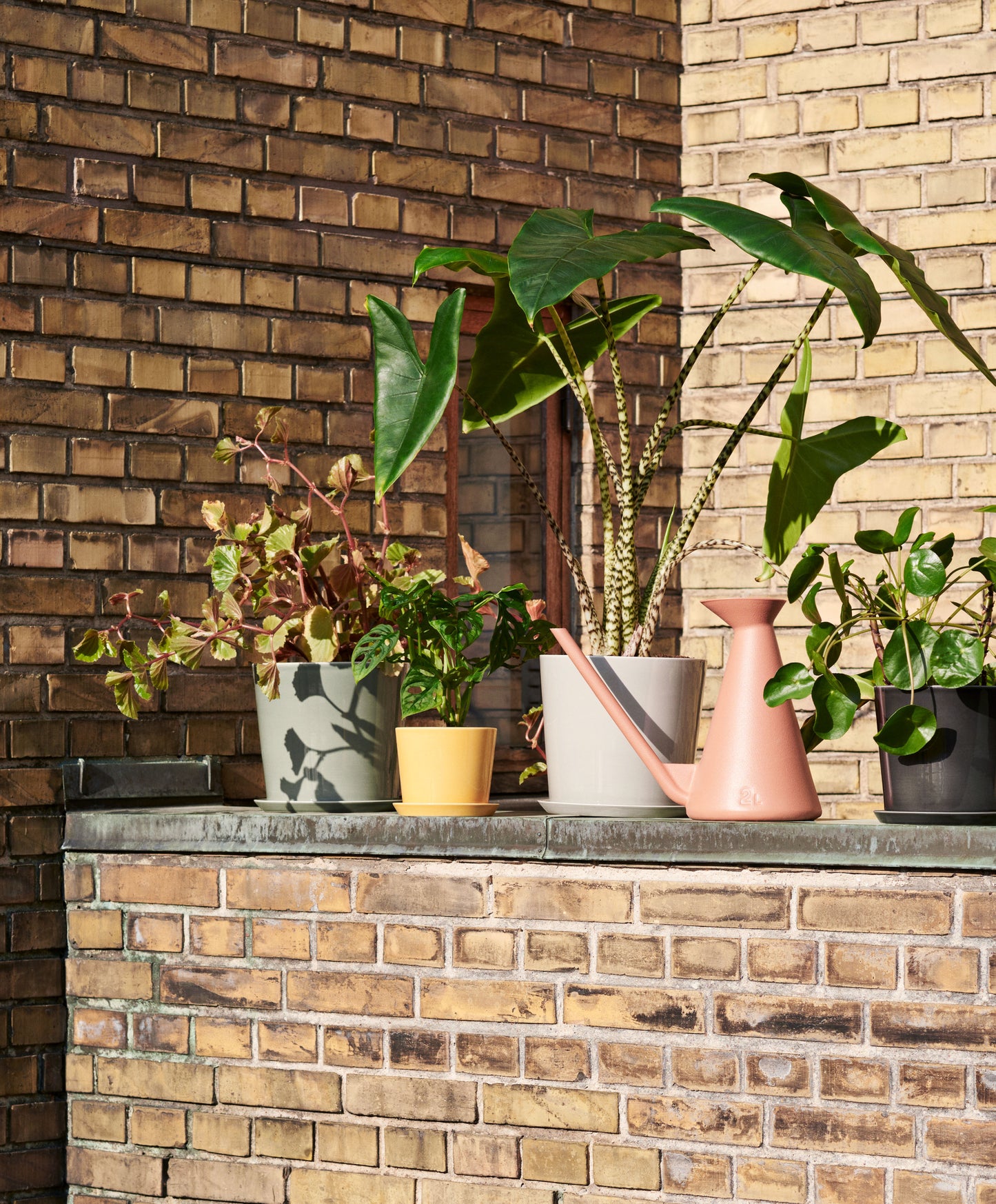 HAY Botanical XL ruukku+lautanen vaaleanharmaa