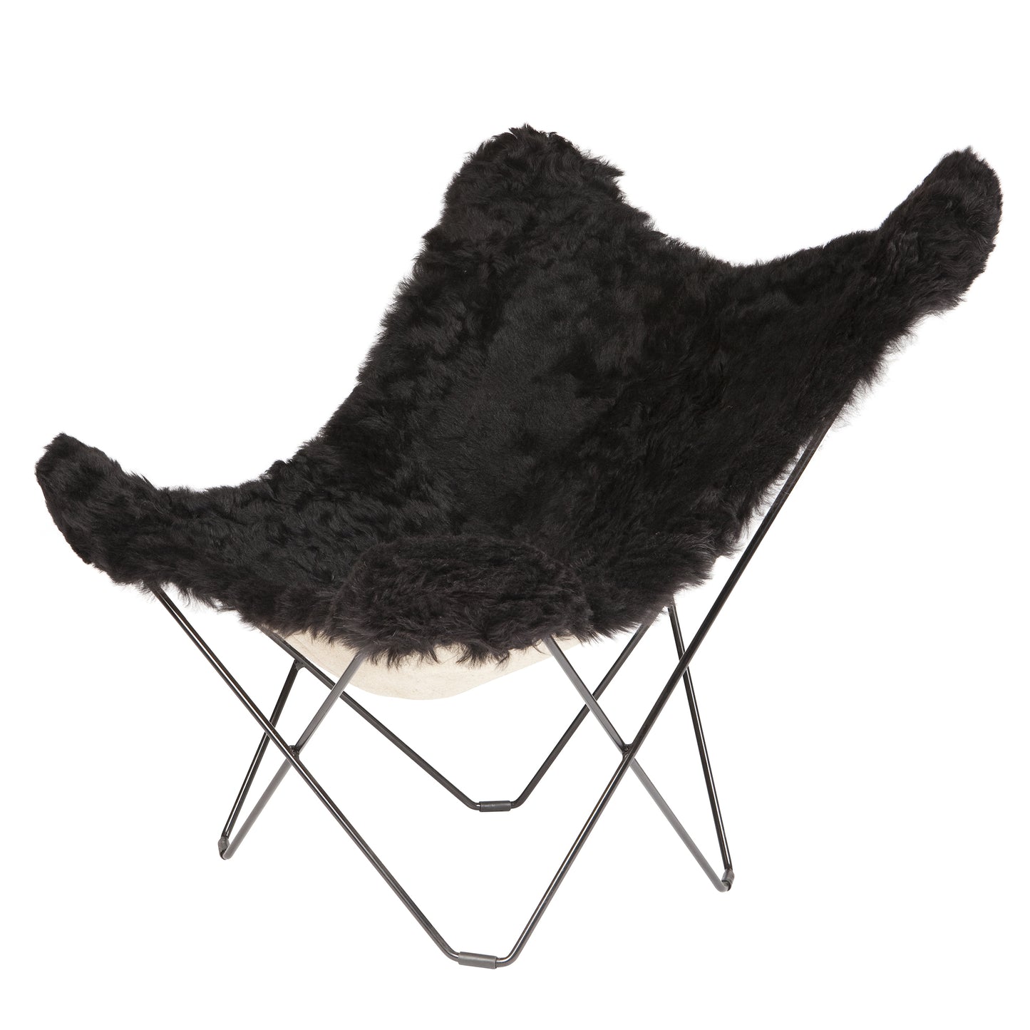 Cuero Iceland Mariposa Shorn musta