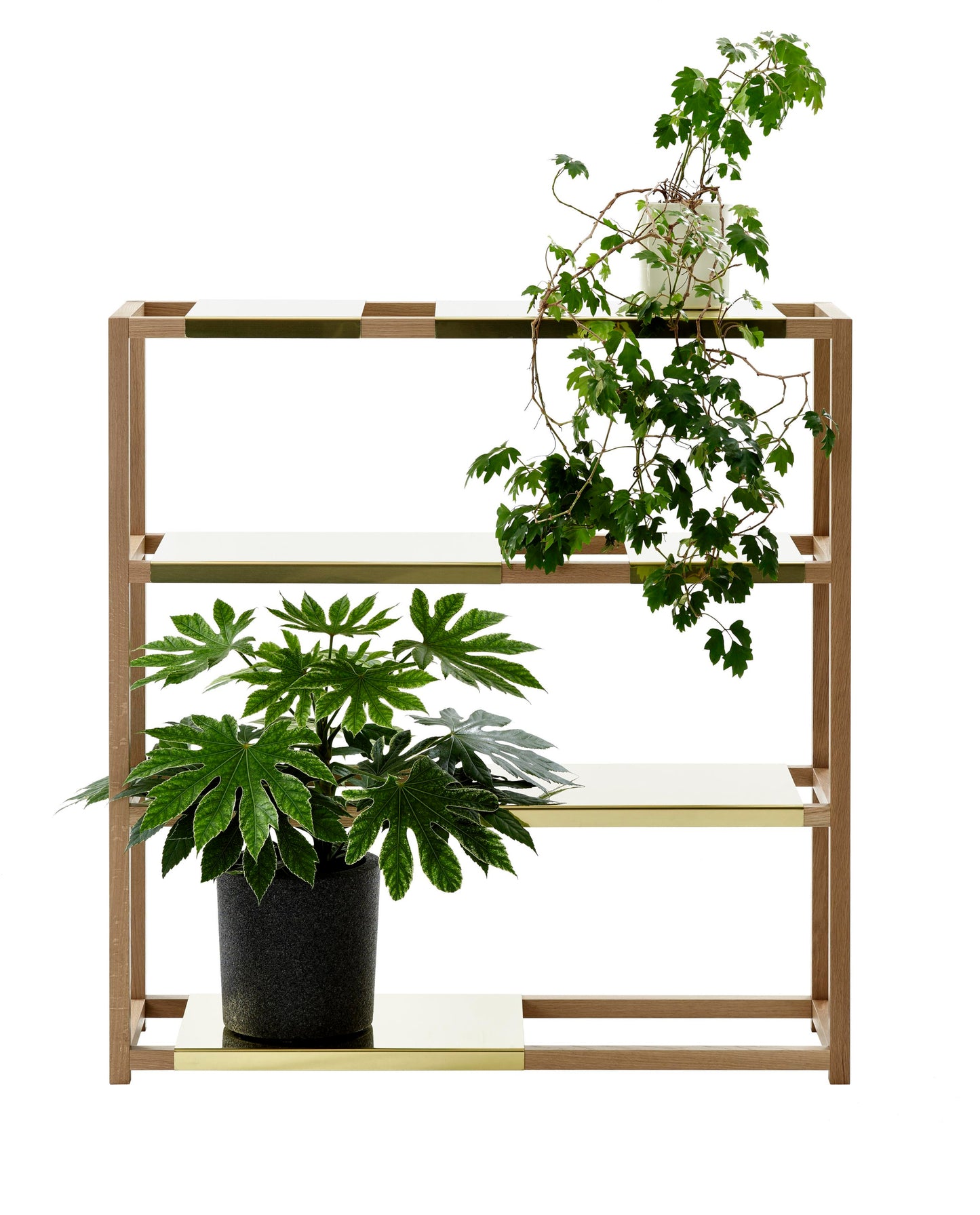 Adea The Botanic Shelf korkea tammi/messinki
