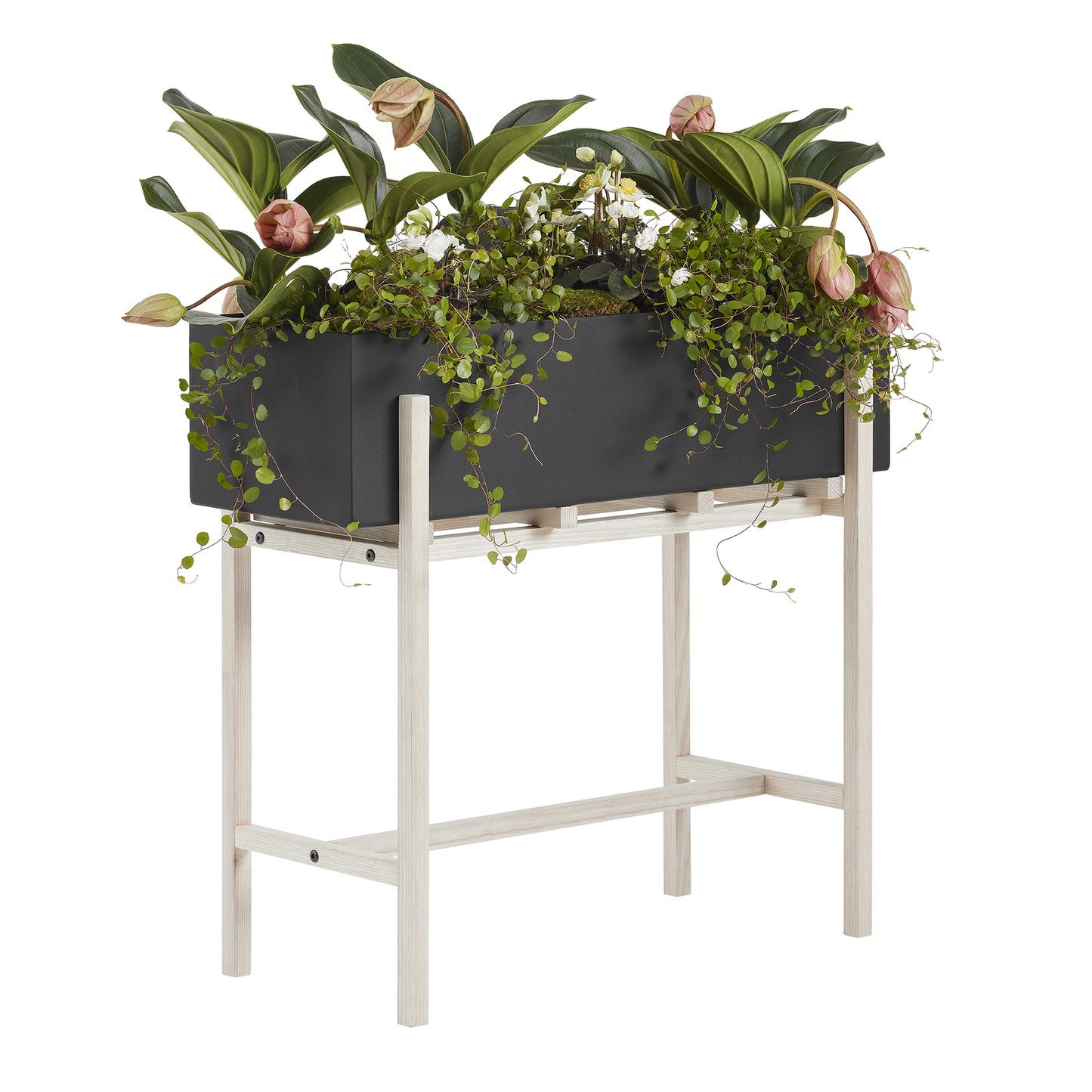 Design House Stockholm Botanic Stand musta/saarni