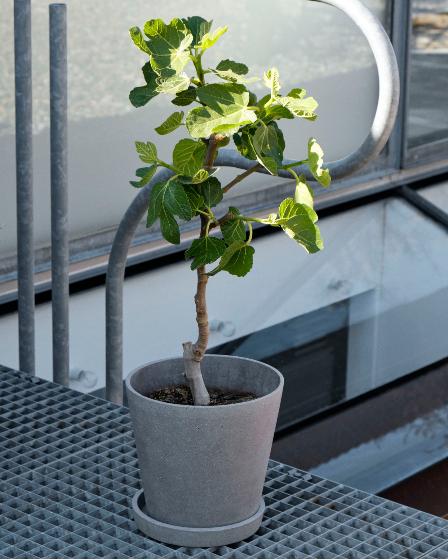 HAY Flowerpot XL ruukku+lautanen harmaa