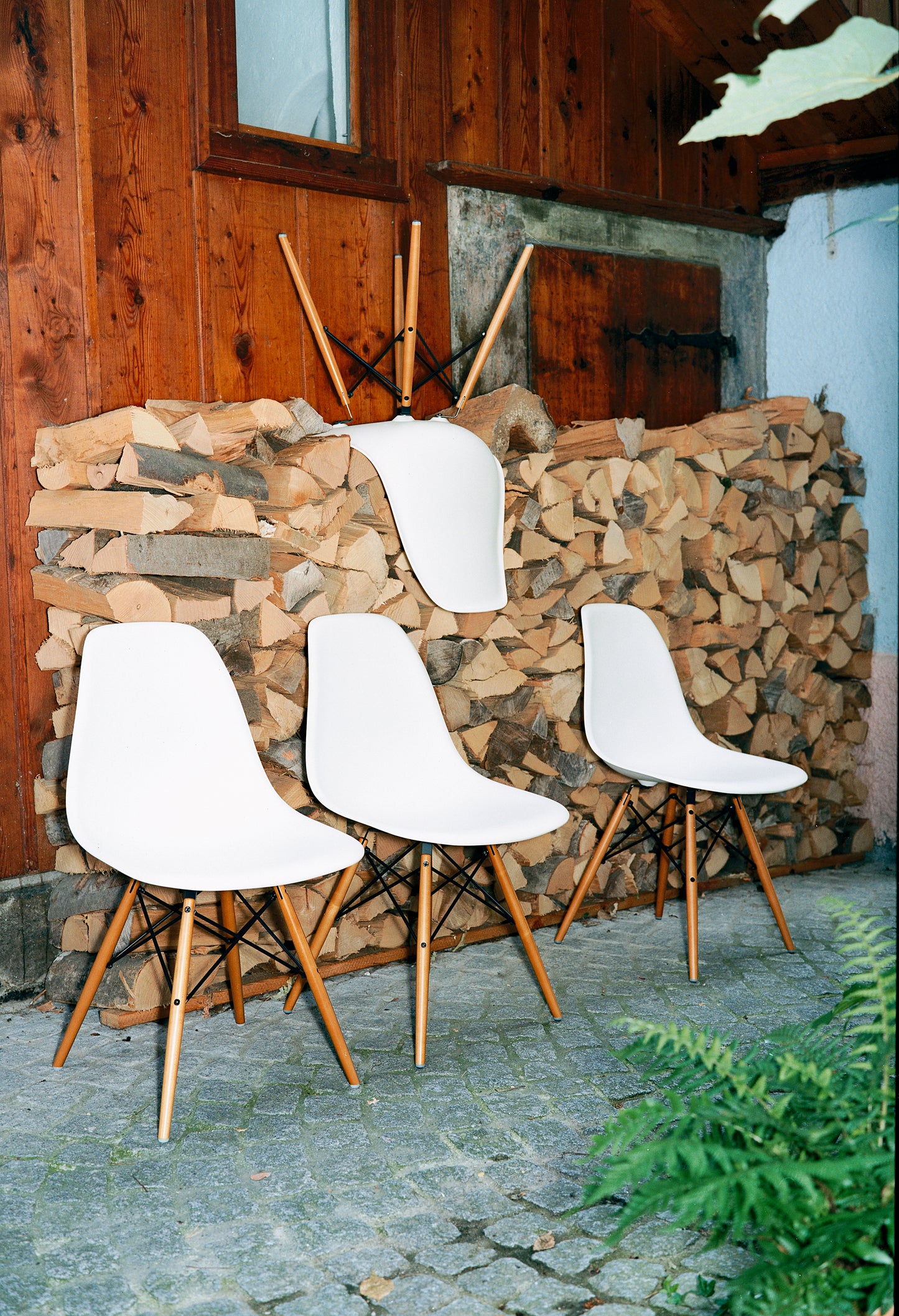 Vitra Eames DSW tuoli valkoinen/vaahtera