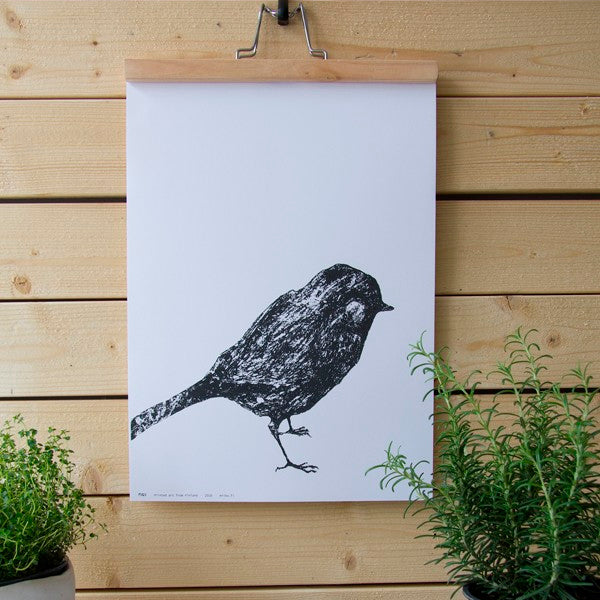 Miiko Pikkulintu juliste 50x70 persikka