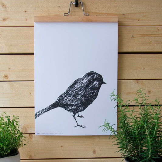 Miiko Pikkulintu juliste 50x70 persikka