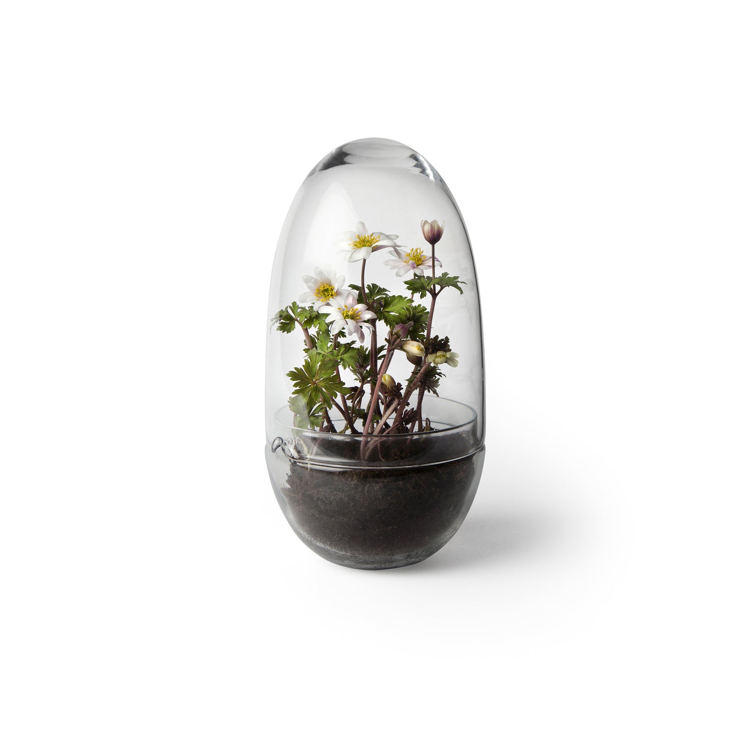 Design House Stockholm Grow pienoiskasvihuone M