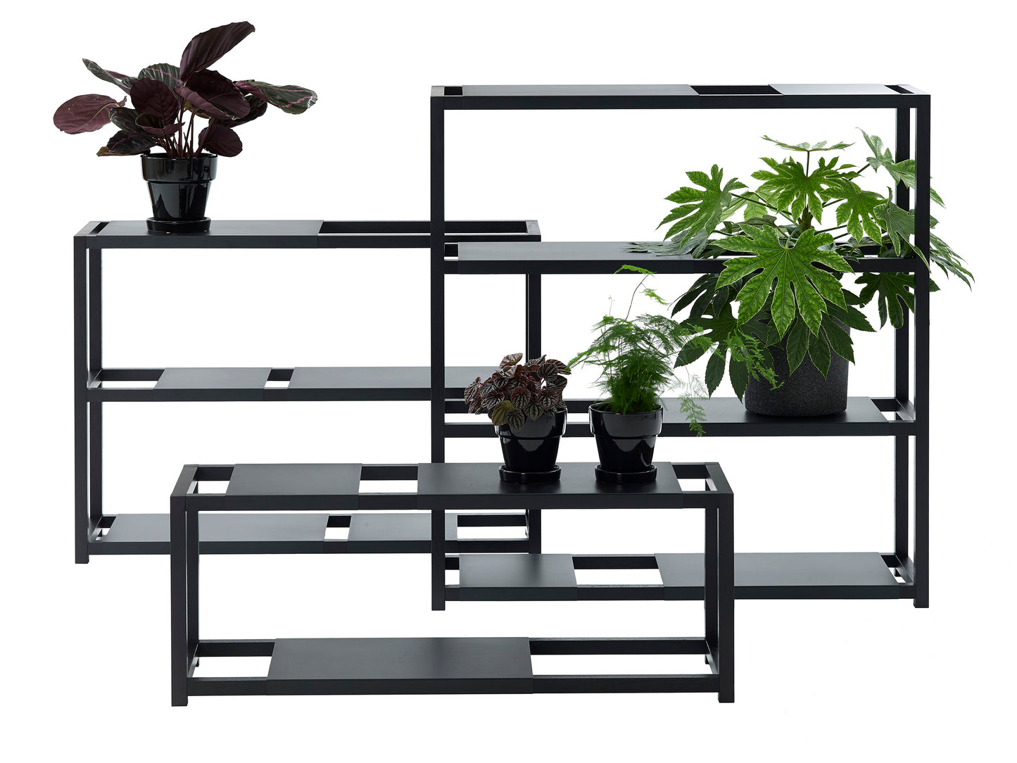 Adea The Botanic Shelf korkea musta/musta