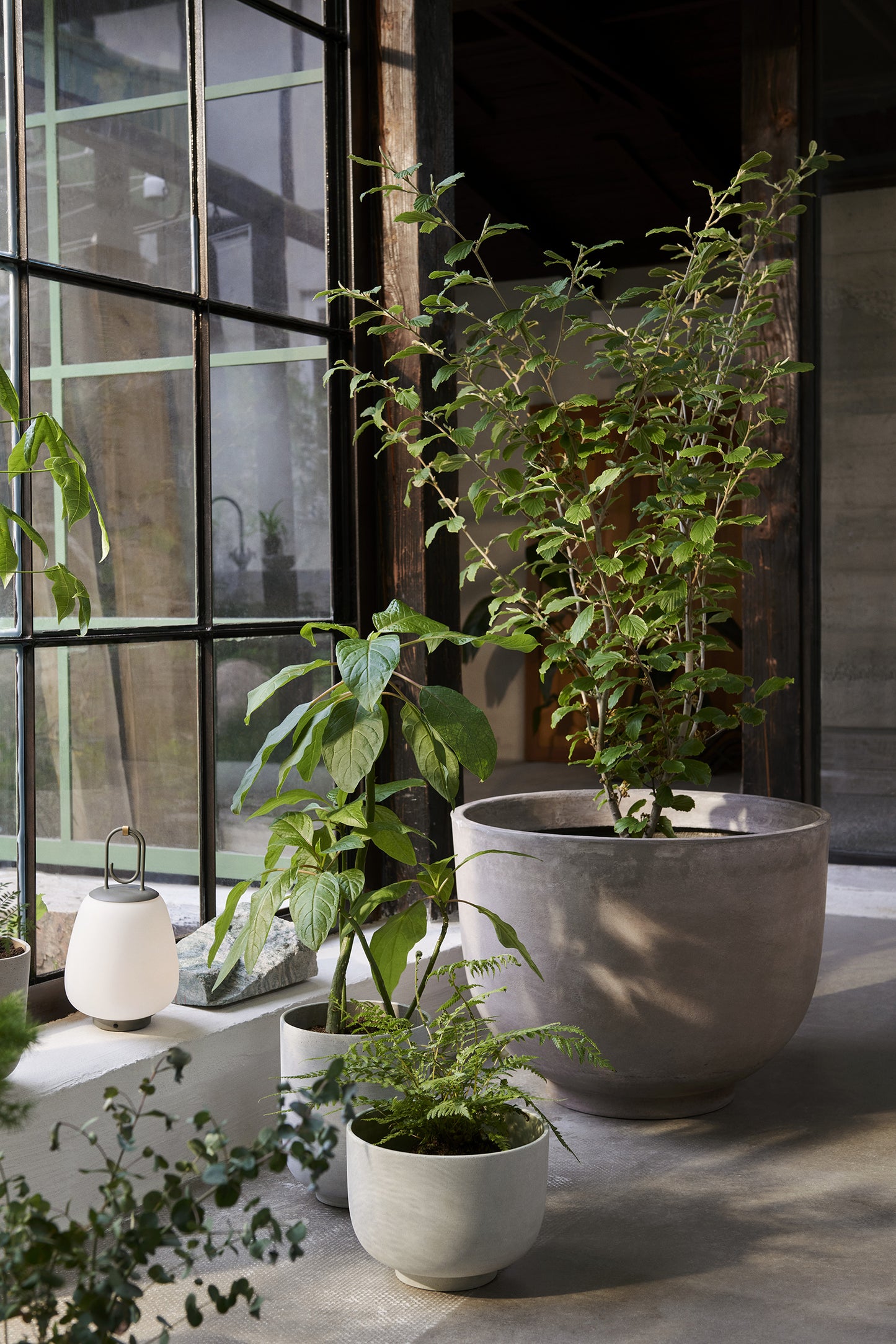 &Tradition Collect ruukku SC72 salvia