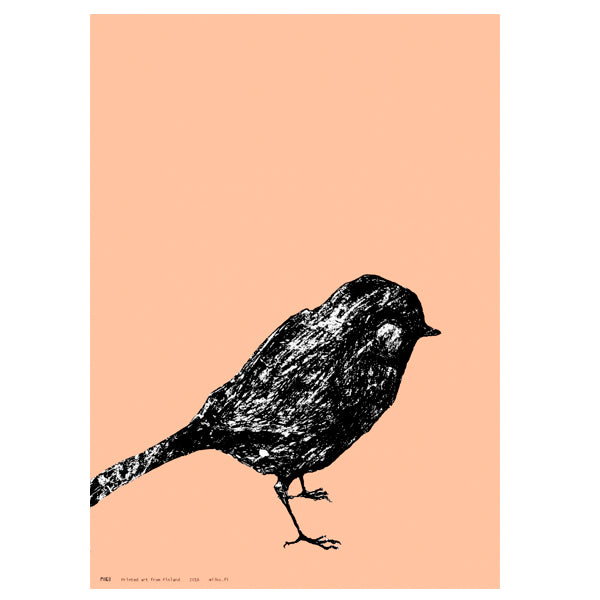 Miiko Pikkulintu juliste 50x70 persikka