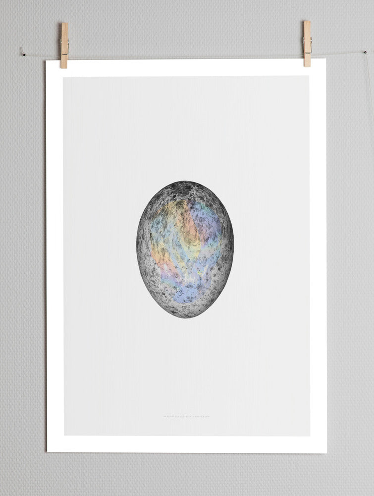 Translucent Egg / Spectrum Skull Paper Collective