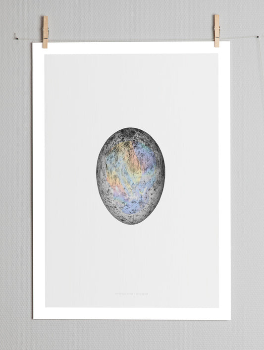 Translucent Egg / Spectrum Skull Paper Collective