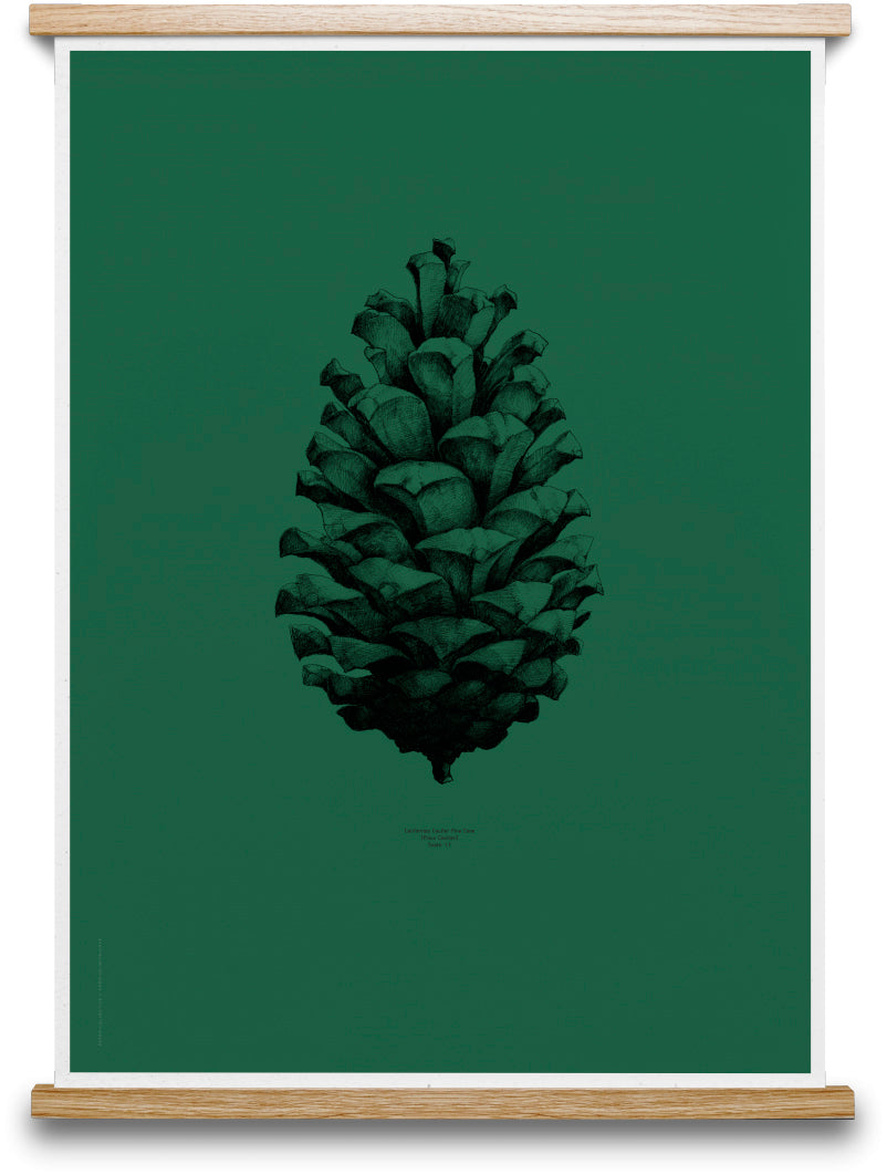 Paper Collective Nature 1:1 Pine Cone (dark forest green)