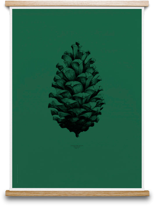 Paper Collective Nature 1:1 Pine Cone (dark forest green)