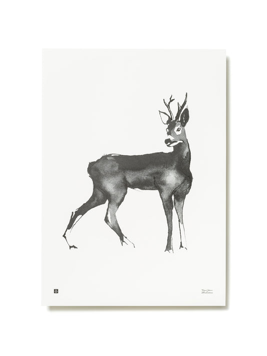 Teemu Järvi Illustrations Kauris juliste