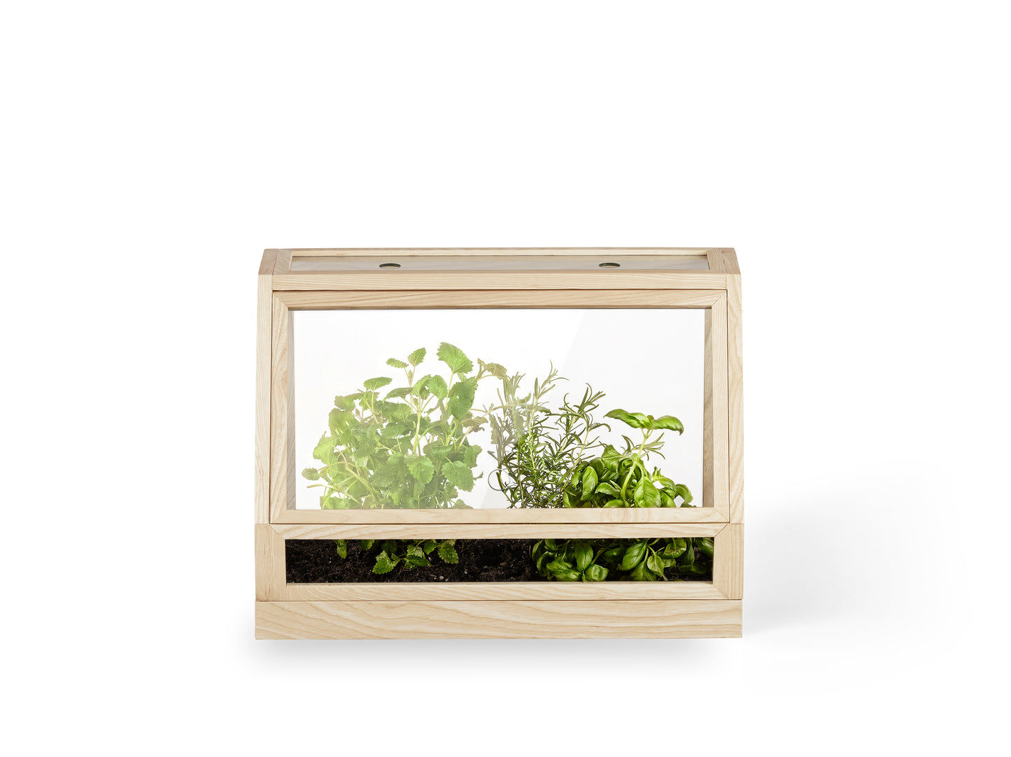 Design House Stockholm Greenhouse Mini saarni