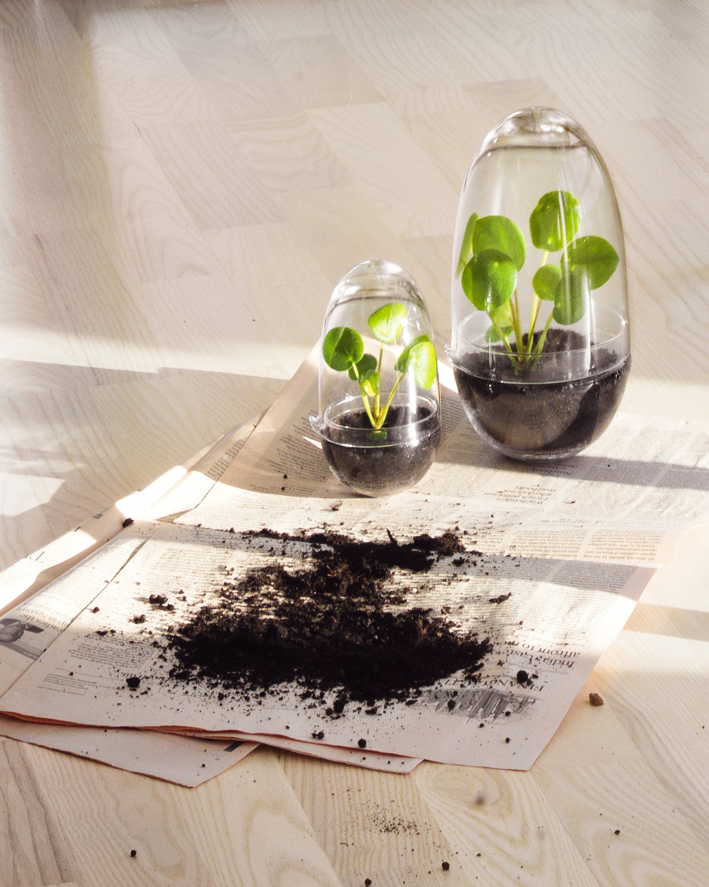 Design House Stockholm Grow pienoiskasvihuone M