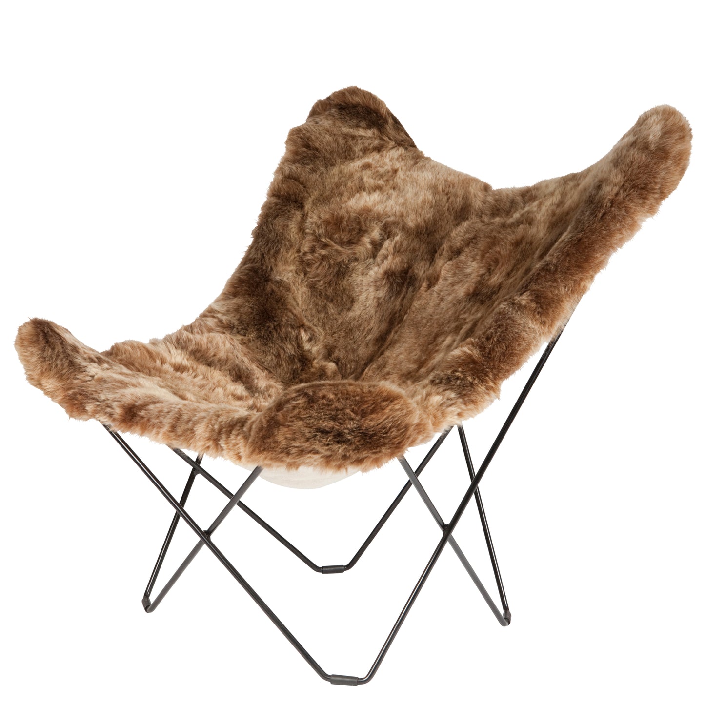 Cuero Iceland Mariposa Shorn ruskea