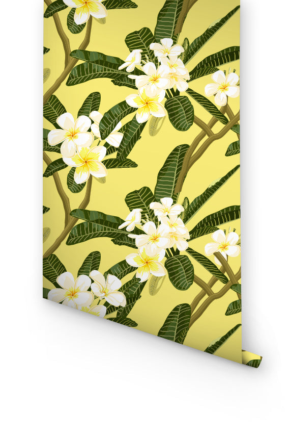 Yellow Removable Wallpaper For Nursery