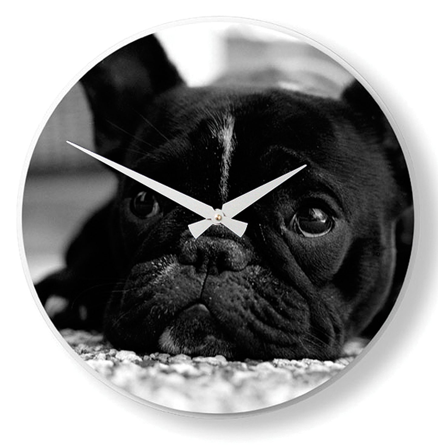 Nextime Dog