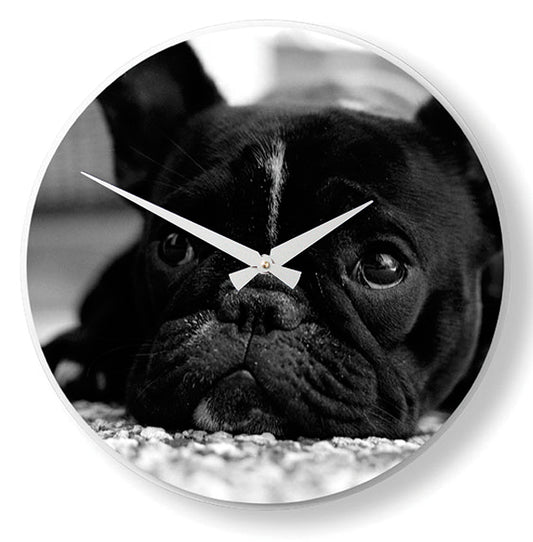 Nextime Dog