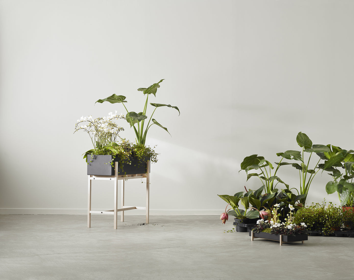 Design House Stockholm Botanic Stand musta/saarni