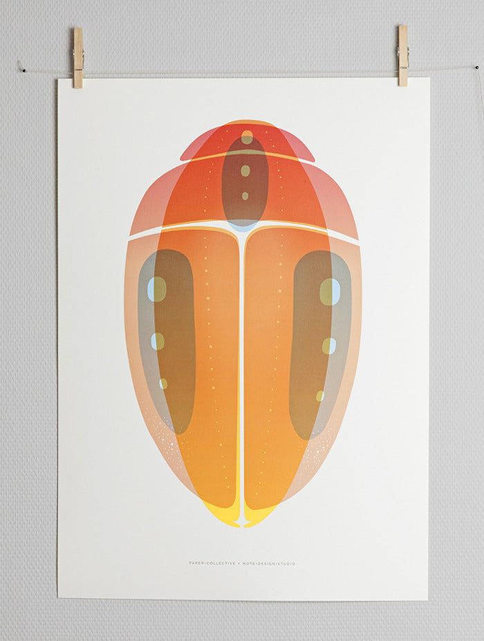Paper Collective Beetle 02