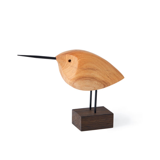 Warm Nordic Beak Bird Awake Snipe