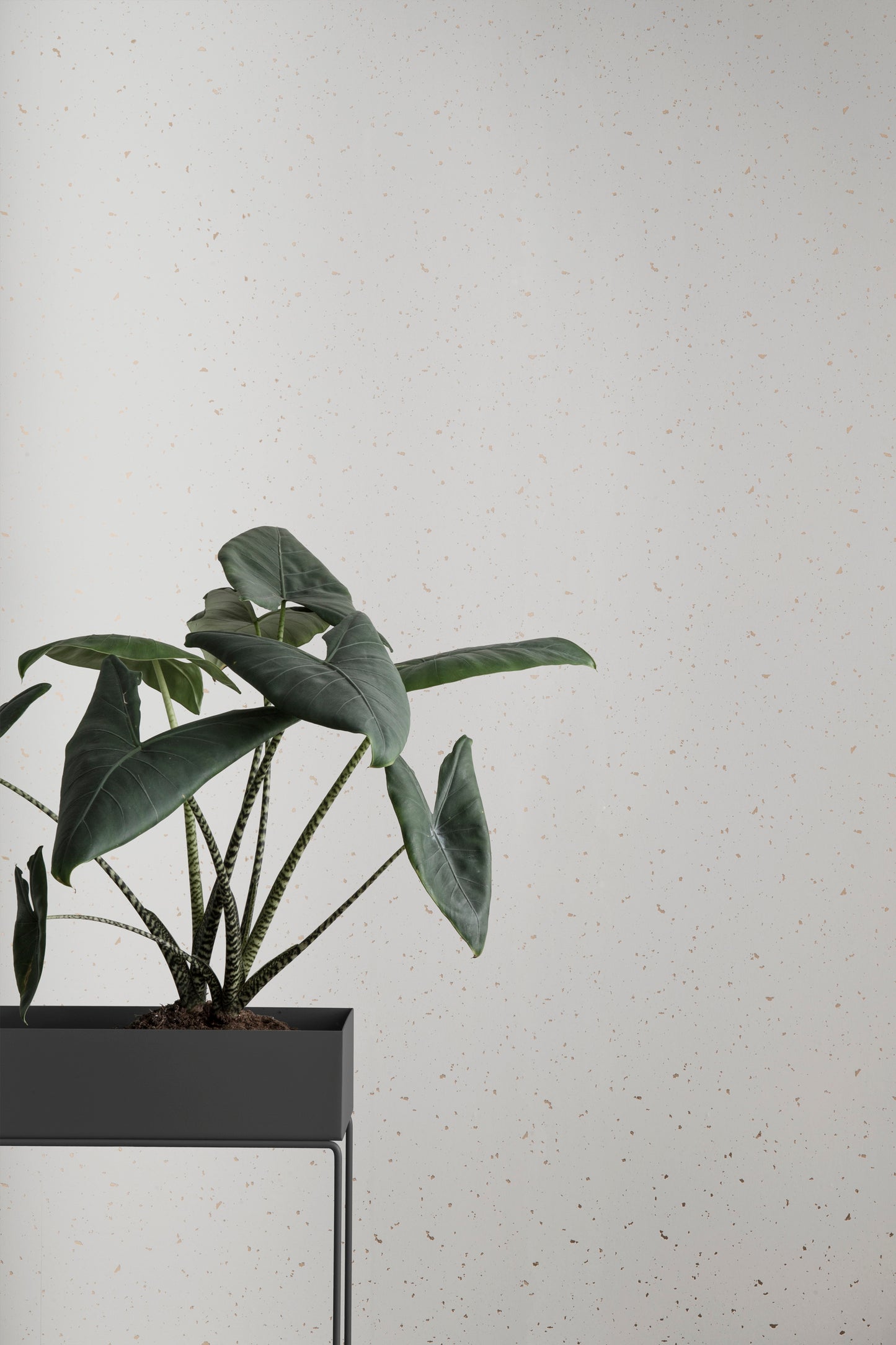 Ferm Living Plant box tummanharmaa