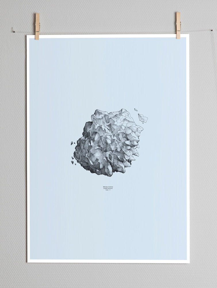 Paper Collective Nature 1:1 Hailston