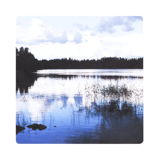 Miiko Kotiranta pannunalunen