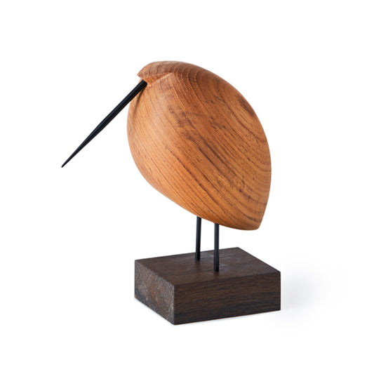 Warm Nordic Beak Bird Lazy Snipe